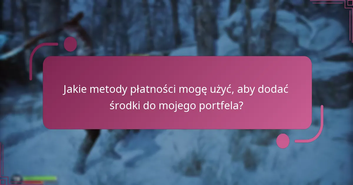 Jakie metody płatności mogę użyć, aby dodać środki do mojego portfela?